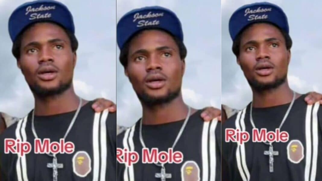 Popular TikToker, Mole, shot to death at galamsey site while trying to escape arrest - video